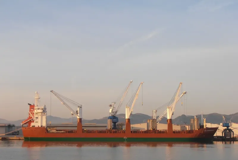 GRIGORIY SHELIKHOV General Cargo IMO 9044748 photo 7