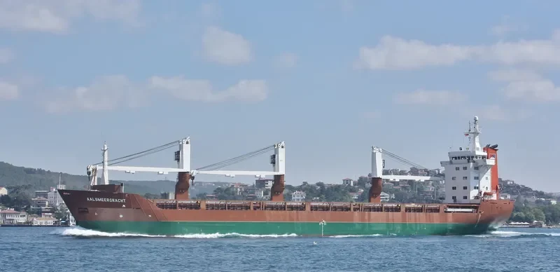 GRIGORIY SHELIKHOV General Cargo IMO 9044748 photo 9