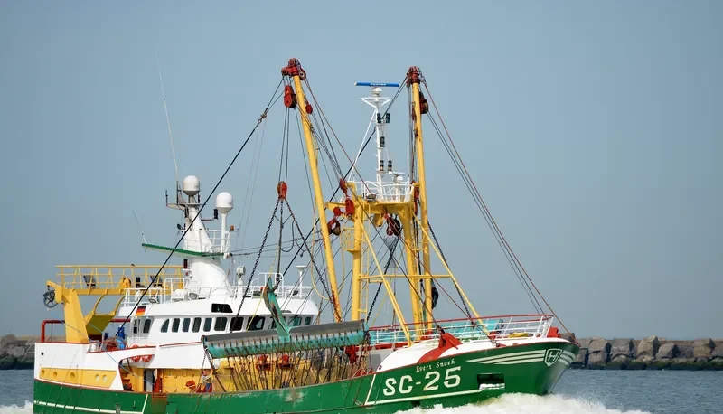 EVERT SNOEK General Cargo IMO 9044774 photo 2