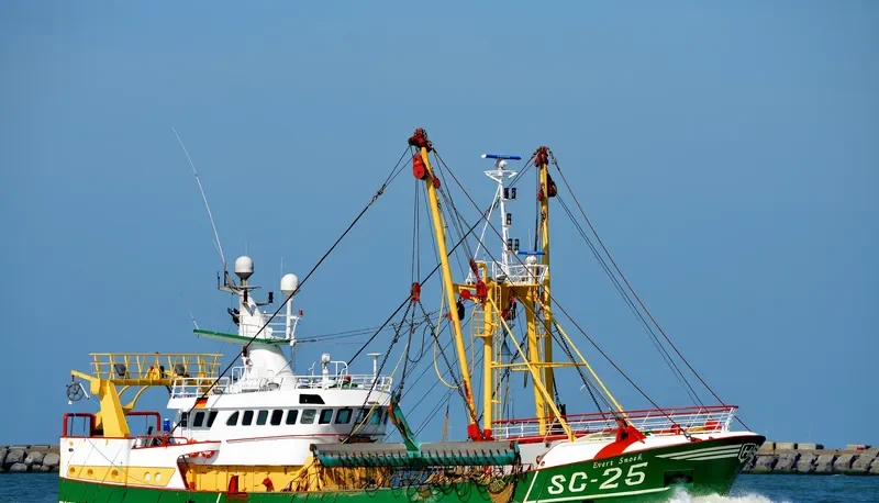 EVERT SNOEK General Cargo IMO 9044774 photo 4