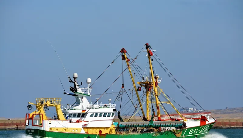 EVERT SNOEK General Cargo IMO 9044774 photo 5