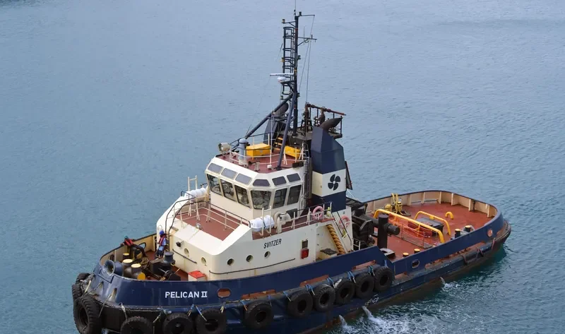 SVITZER PELICAN General Cargo IMO 9044815 photo 4