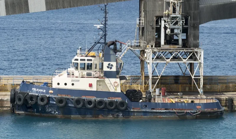 SVITZER PELICAN General Cargo IMO 9044815 photo 8