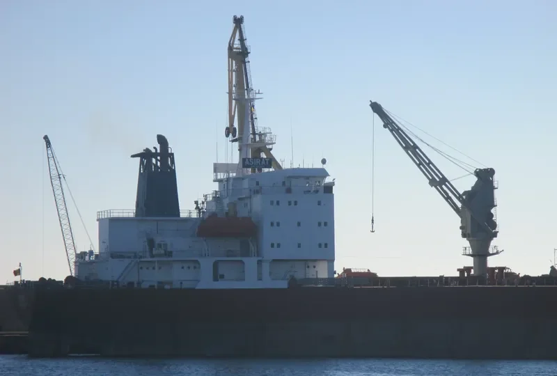 ASIRAT Bulk Carrier IMO 9044918 photo 4