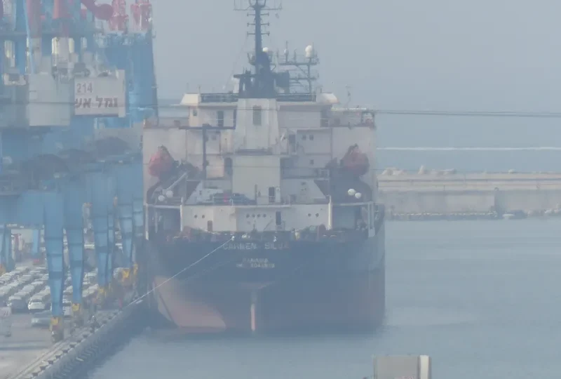 LADY MELIS Bulk Carrier IMO 9044920 photo 3