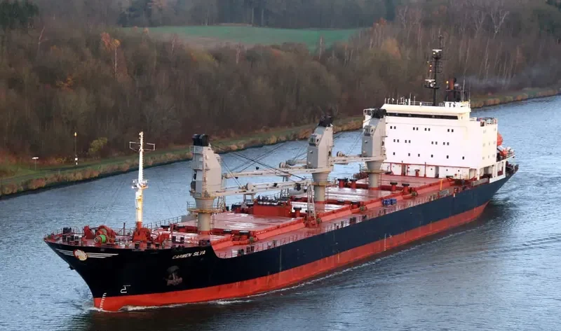 LADY MELIS Bulk Carrier IMO 9044920 photo 4
