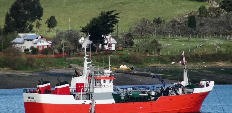 SEINES General Cargo IMO 9044970