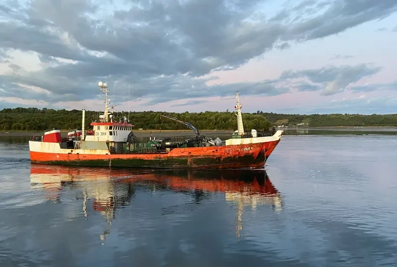 SEINES General Cargo IMO 9044970 photo 4