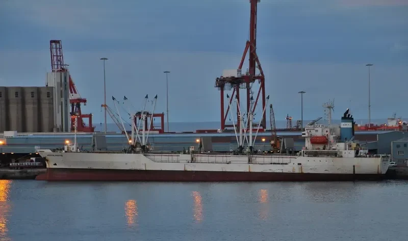 NESTOS REEFER General Cargo IMO 9045156