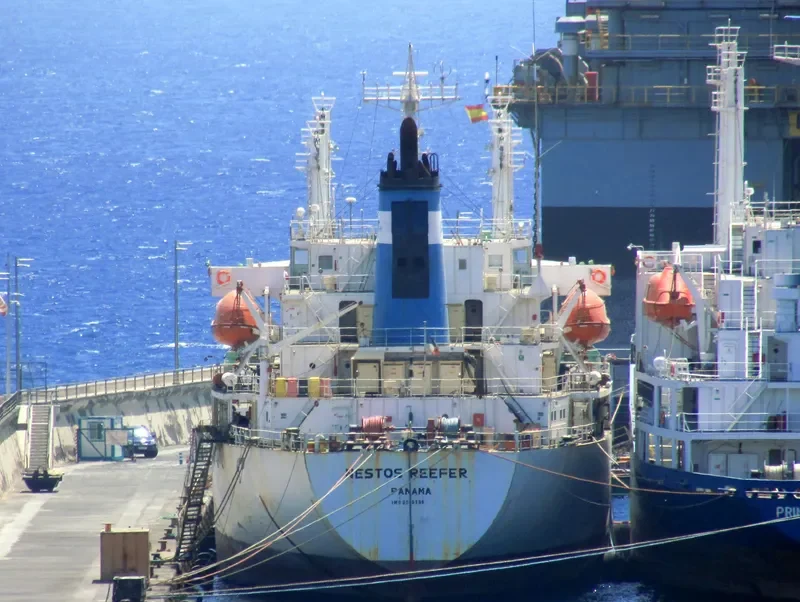 NESTOS REEFER General Cargo IMO 9045156 photo 2