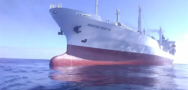 NESTOS REEFER General Cargo IMO 9045156 photo 5