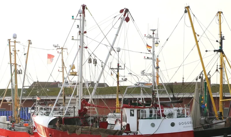 DOGGERBANK General Cargo IMO 9045259