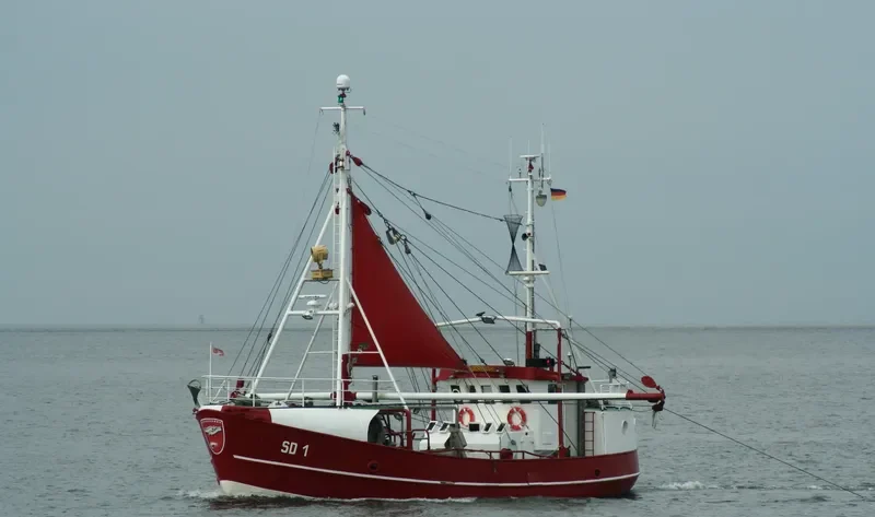 DOGGERBANK General Cargo IMO 9045259 photo 3
