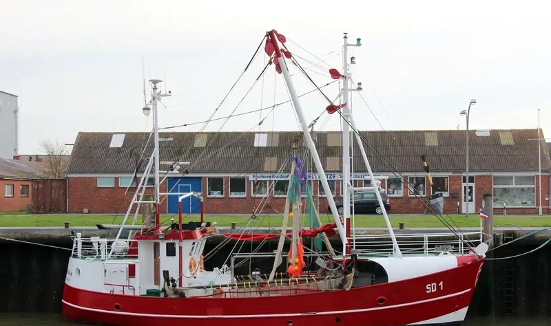 DOGGERBANK General Cargo IMO 9045259 photo 4