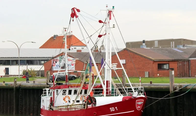 DOGGERBANK General Cargo IMO 9045259 photo 5