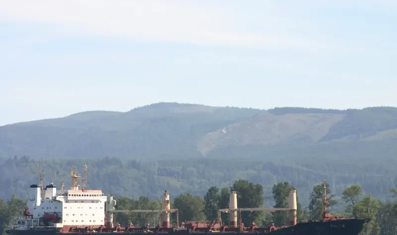 TILOS Bulk Carrier IMO 9045390 photo 3