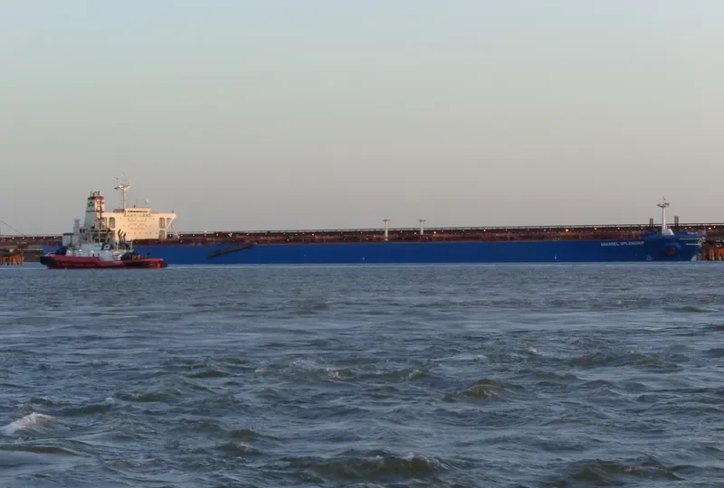 ANANGEL SPLENDOUR Bulk Carrier IMO 9045560 photo 2