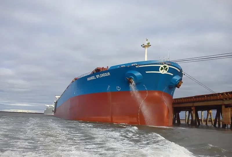 ANANGEL SPLENDOUR Bulk Carrier IMO 9045560 photo 3