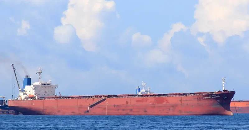 CHIOS SUNRISE Bulk Carrier IMO 9045584 photo 2