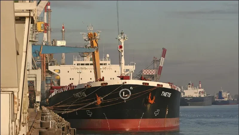 CHIOS SUNRISE Bulk Carrier IMO 9045584 photo 3