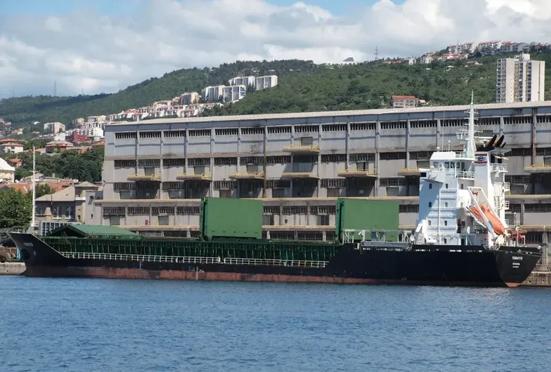 ESRA NUR General Cargo IMO 9045687 photo 8