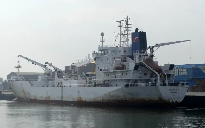 GREEN ITALIA General Cargo IMO 9045780 photo 7