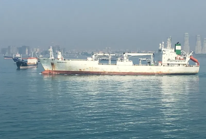 GREEN BRAZIL General Cargo IMO 9045792 photo 3