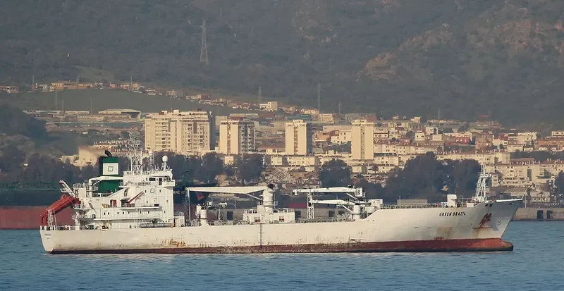 GREEN BRAZIL General Cargo IMO 9045792 photo 5