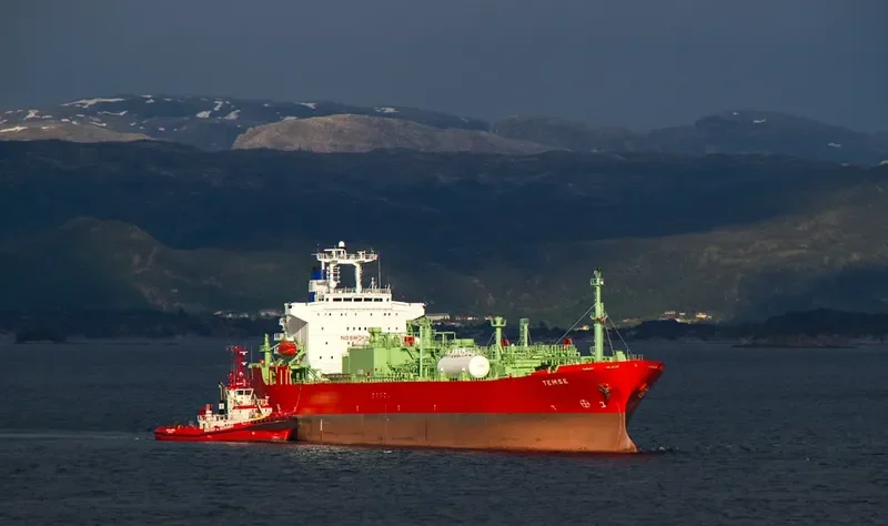 TEMSE General Cargo IMO 9045807 photo 4