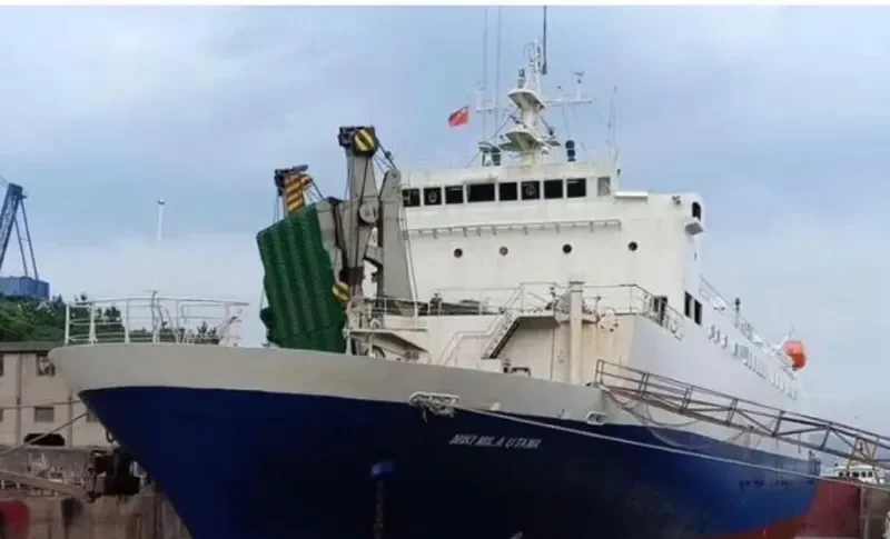 NIKIMILAUTAMA Ro-Ro IMO 9045883