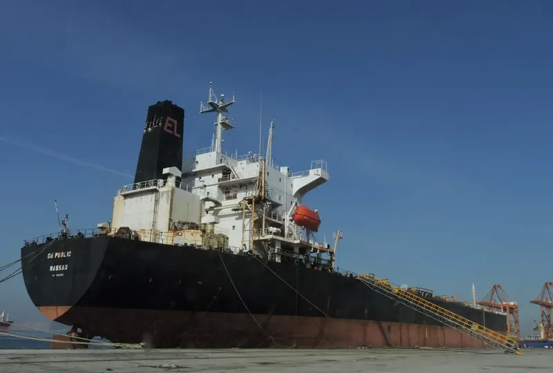 GO PUB Bulk Carrier IMO 9045900 photo 4
