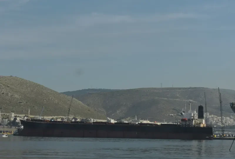 GO PUB Bulk Carrier IMO 9045900 photo 5