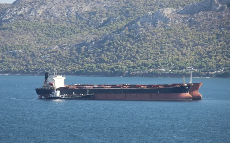 GO PUB Bulk Carrier IMO 9045900 photo 9