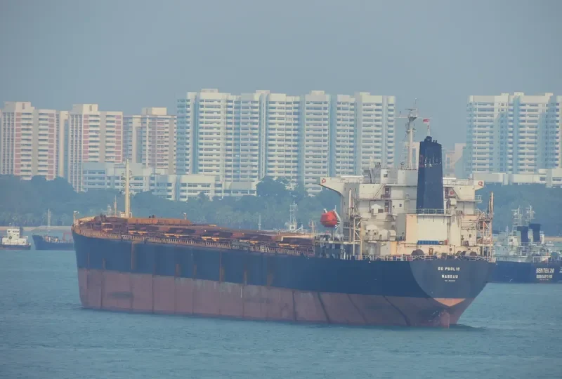 GO PUB Bulk Carrier IMO 9045900 photo 10