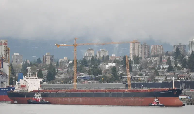 LOS LLANITOS Bulk Carrier IMO 9045912 photo 3