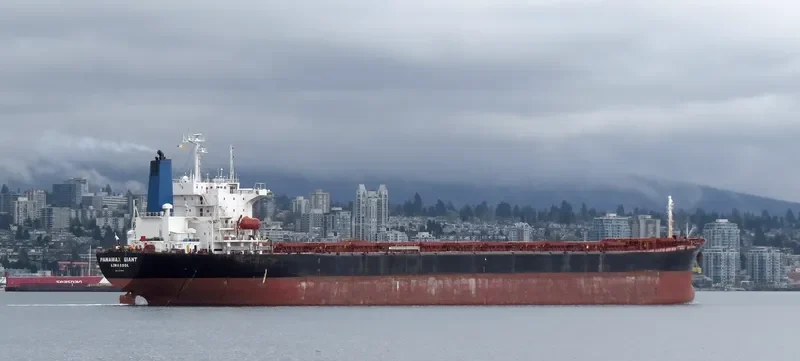 LOS LLANITOS Bulk Carrier IMO 9045912 photo 4