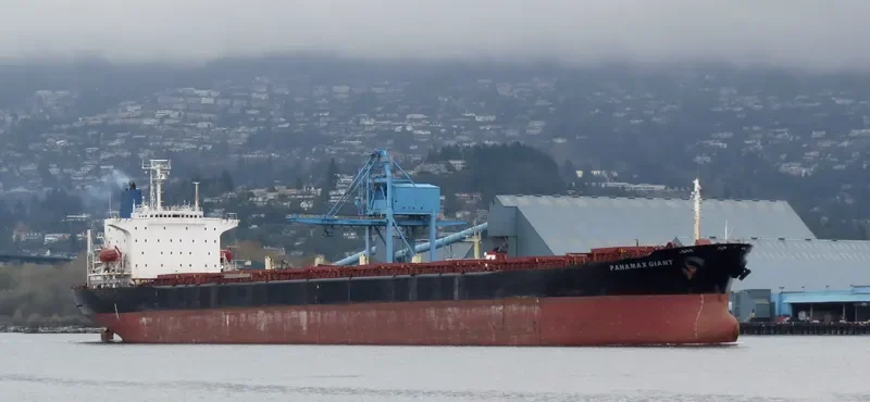 LOS LLANITOS Bulk Carrier IMO 9045912 photo 5