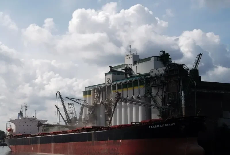 LOS LLANITOS Bulk Carrier IMO 9045912 photo 7
