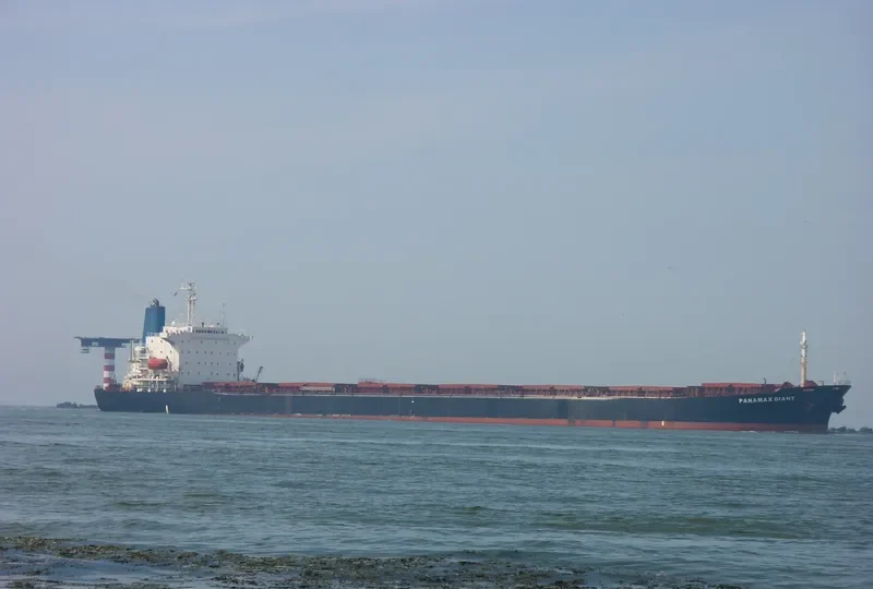 LOS LLANITOS Bulk Carrier IMO 9045912 photo 10