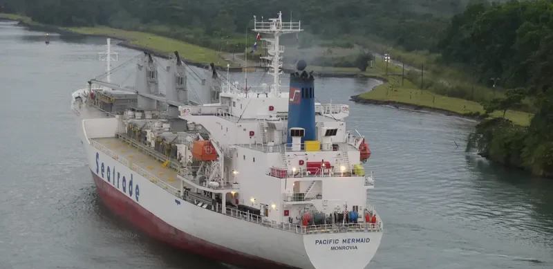 PACIFIC MERMAID General Cargo IMO 9045924