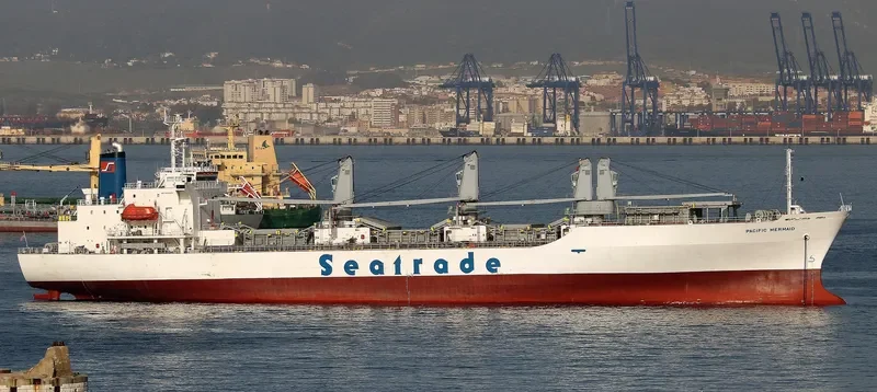 PACIFIC MERMAID General Cargo IMO 9045924 photo 3