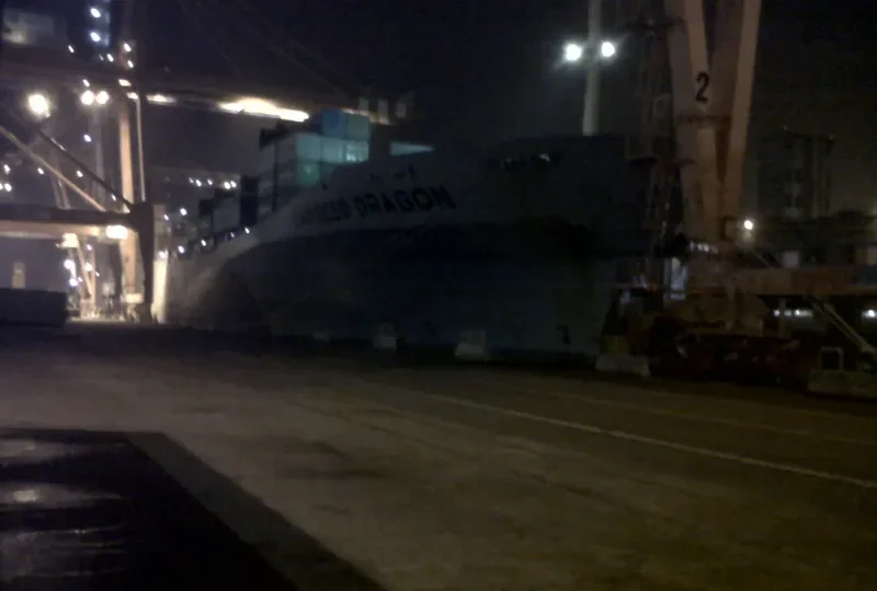 EMPRESS DRAGON Container Ship IMO 9046112 photo 7
