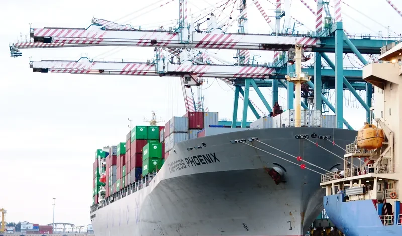 EMPRESS PHOENIX Container Ship IMO 9046124 photo 2
