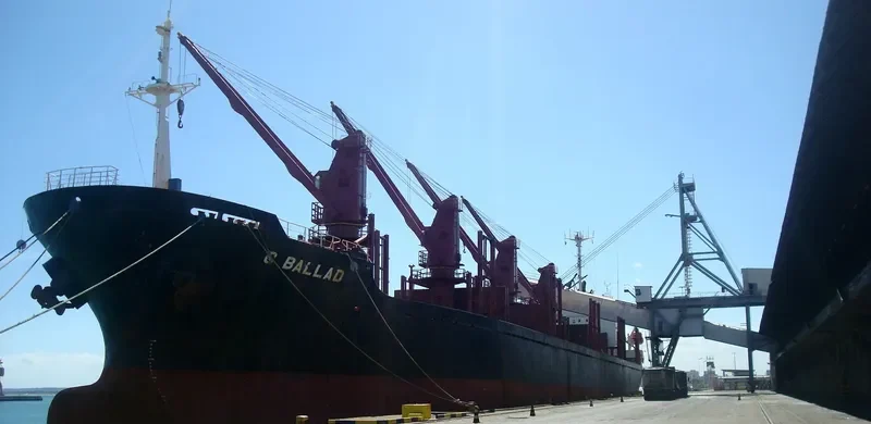 C BALLAD Bulk Carrier IMO 9046265 photo 2