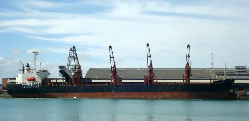 C BALLAD Bulk Carrier IMO 9046265 photo 3