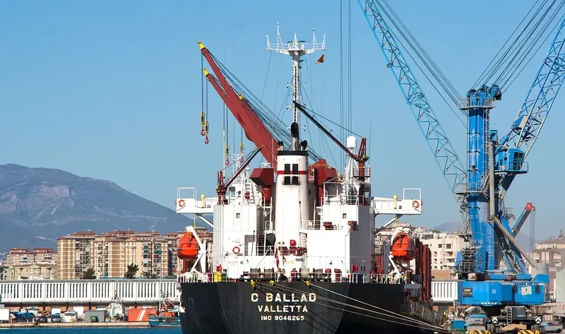 C BALLAD Bulk Carrier IMO 9046265 photo 5
