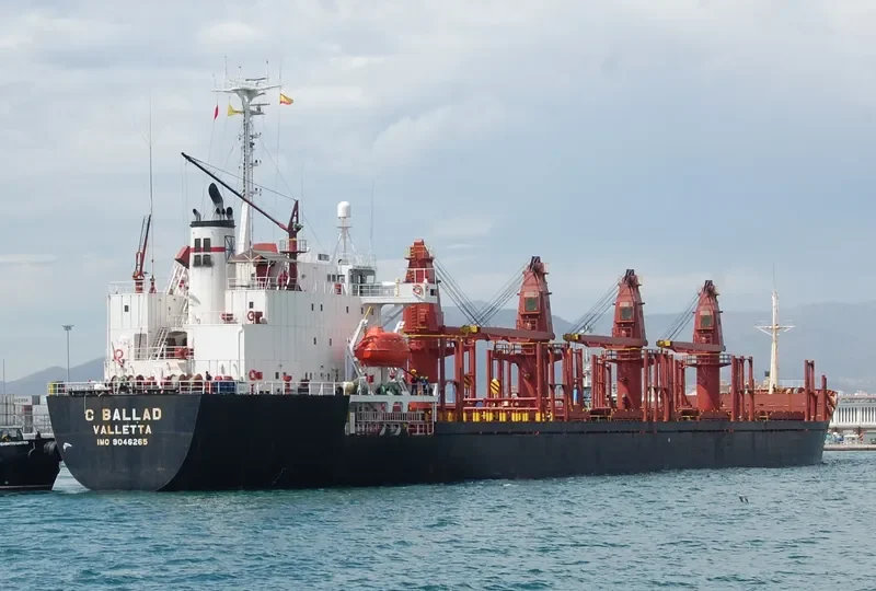 C BALLAD Bulk Carrier IMO 9046265 photo 7