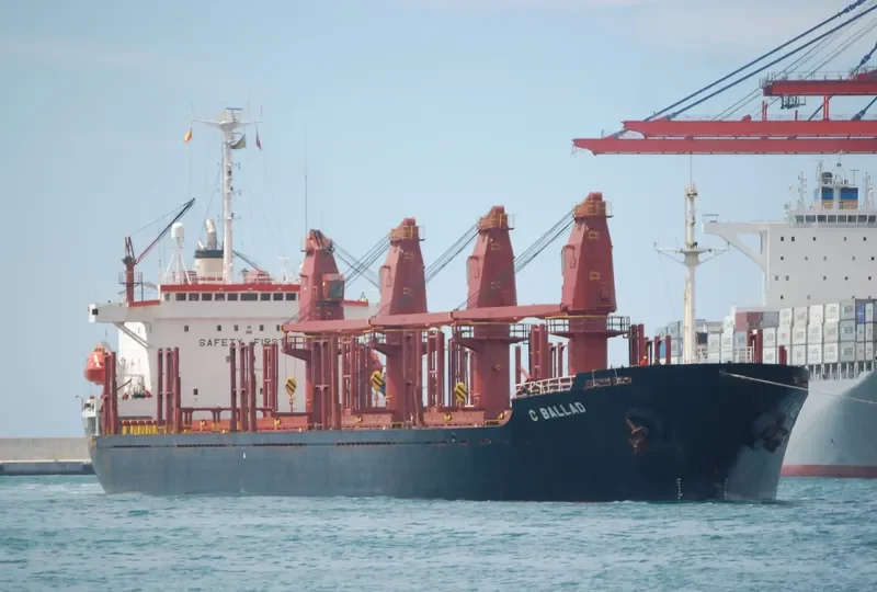 C BALLAD Bulk Carrier IMO 9046265 photo 8