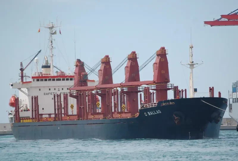 C BALLAD Bulk Carrier IMO 9046265 photo 9