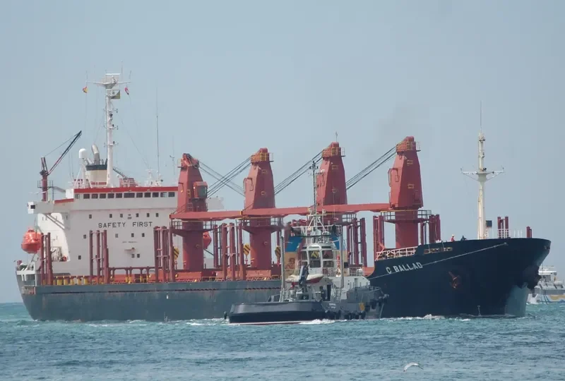 C BALLAD Bulk Carrier IMO 9046265 photo 10
